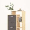 Kệ Tủ Gỗ Trang Trí Có Hộc Kéo Tatana PK013 - Ảnh 4