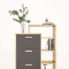 Kệ Tủ Gỗ Trang Trí Có Hộc Kéo Tatana PK013 - Ảnh 6