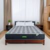 Nệm lò xo liên kết Tatana Liza