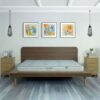 Nệm ép dẻo Tatana