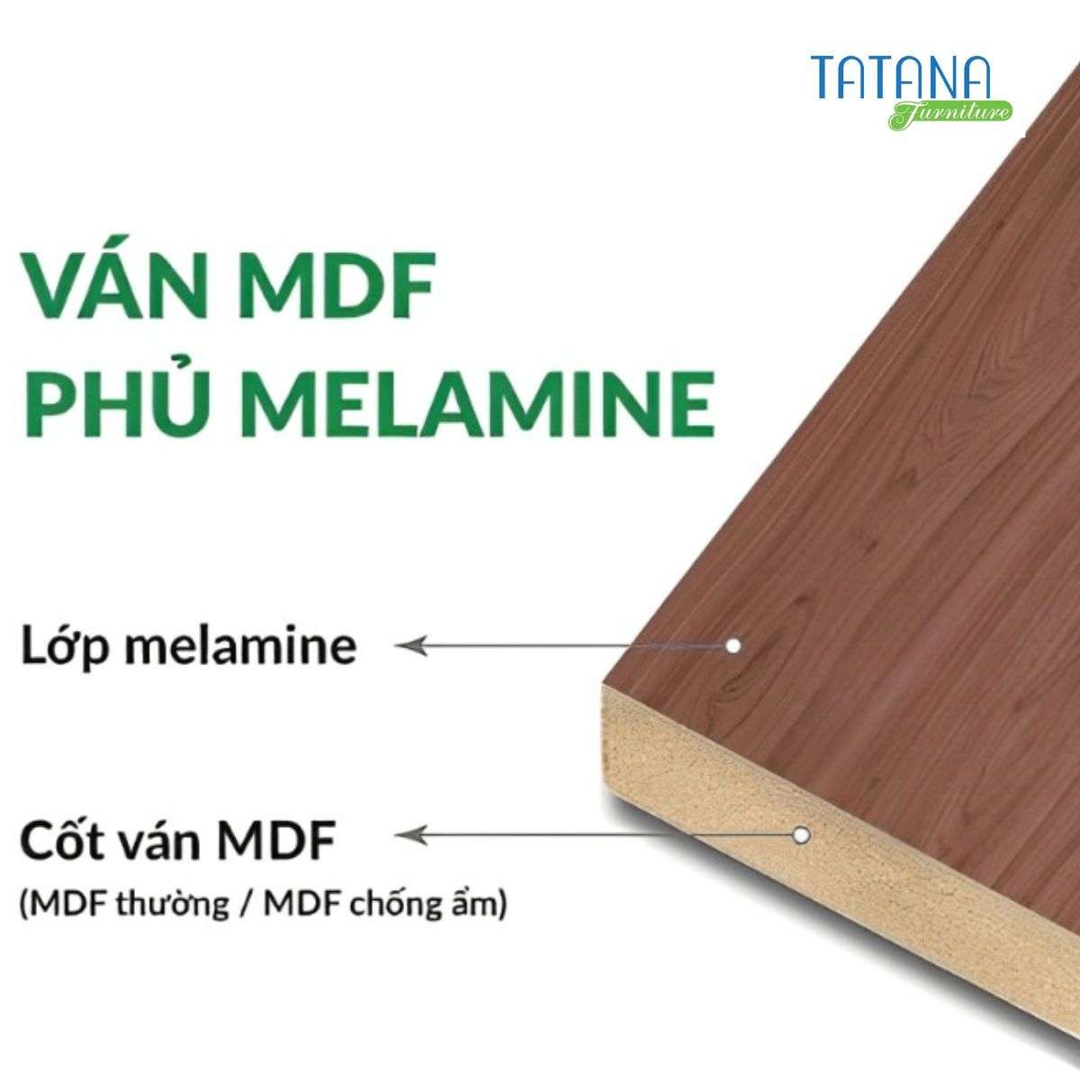 cấu tạo gỗ mdf