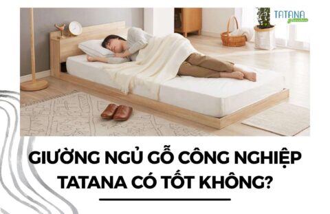 giường ngủ gỗ công nghiệp tatana có tốt không