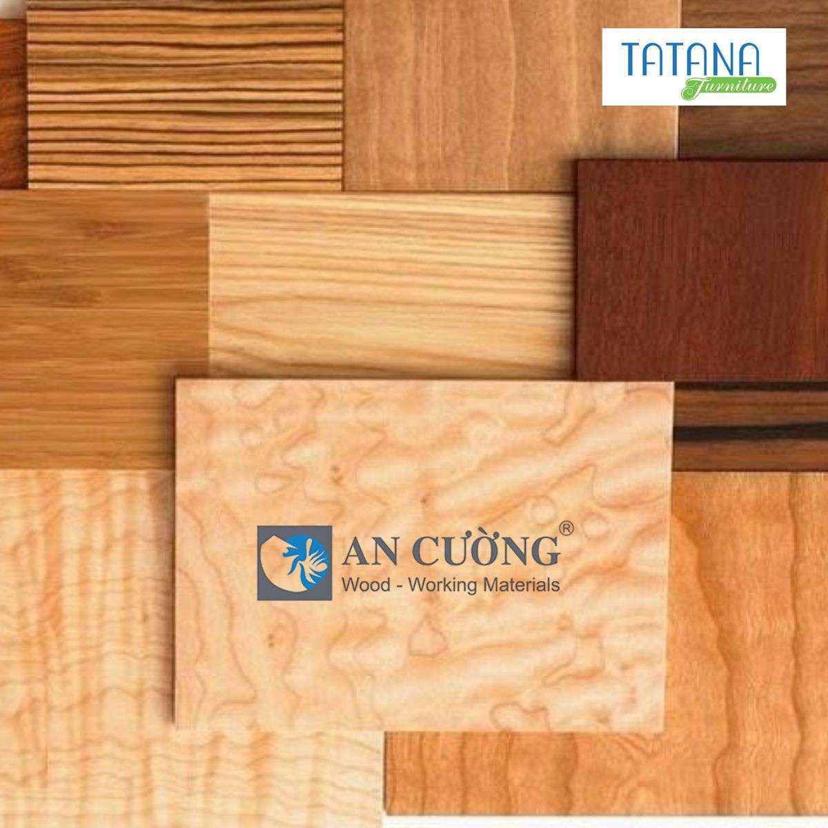 tổng quan về thương hiệu gỗ an cường